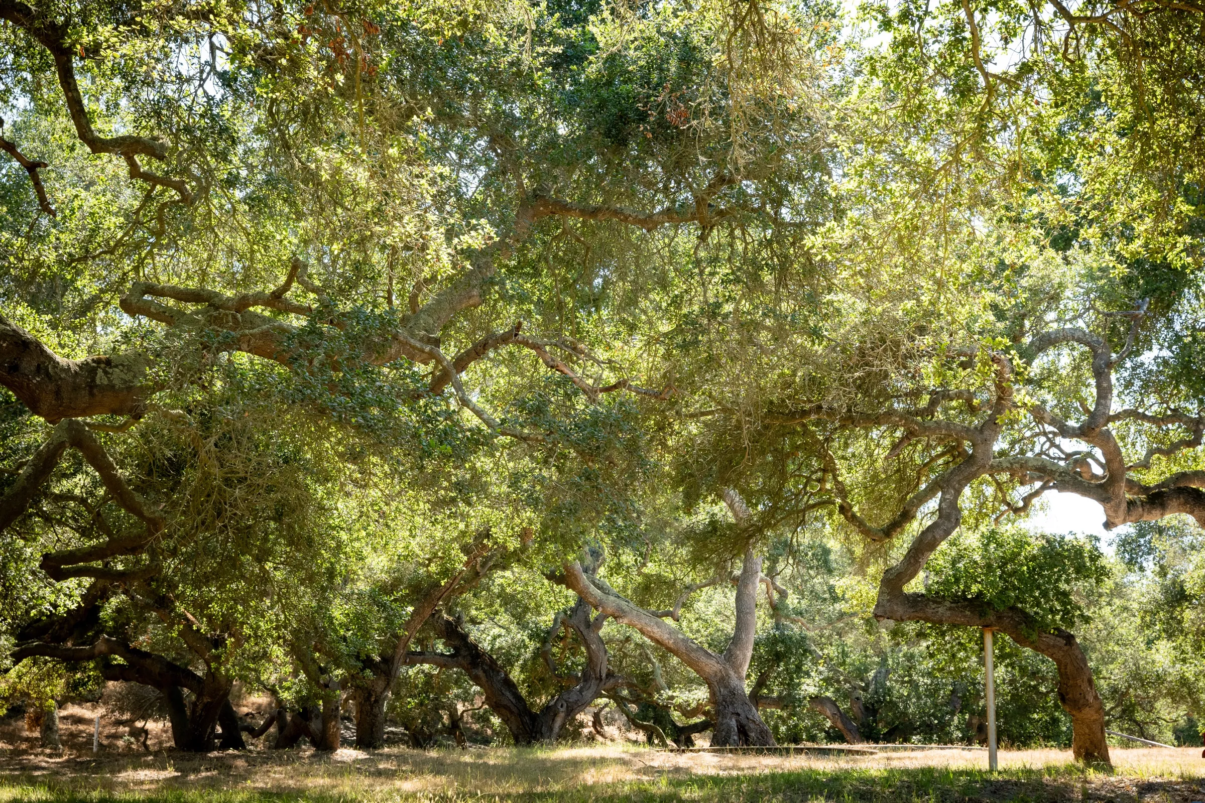 Travel photography for California