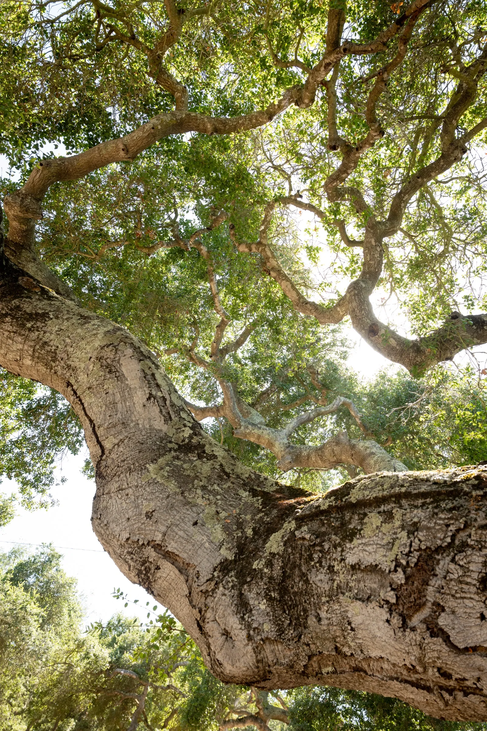 Travel photography for California