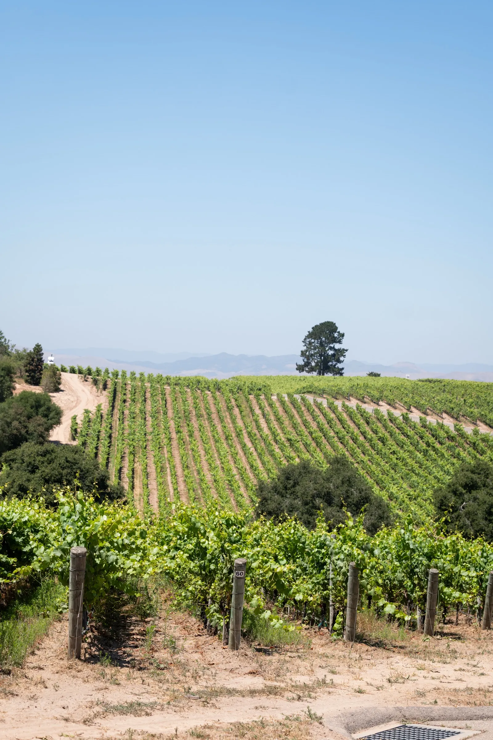 Travel photography for California