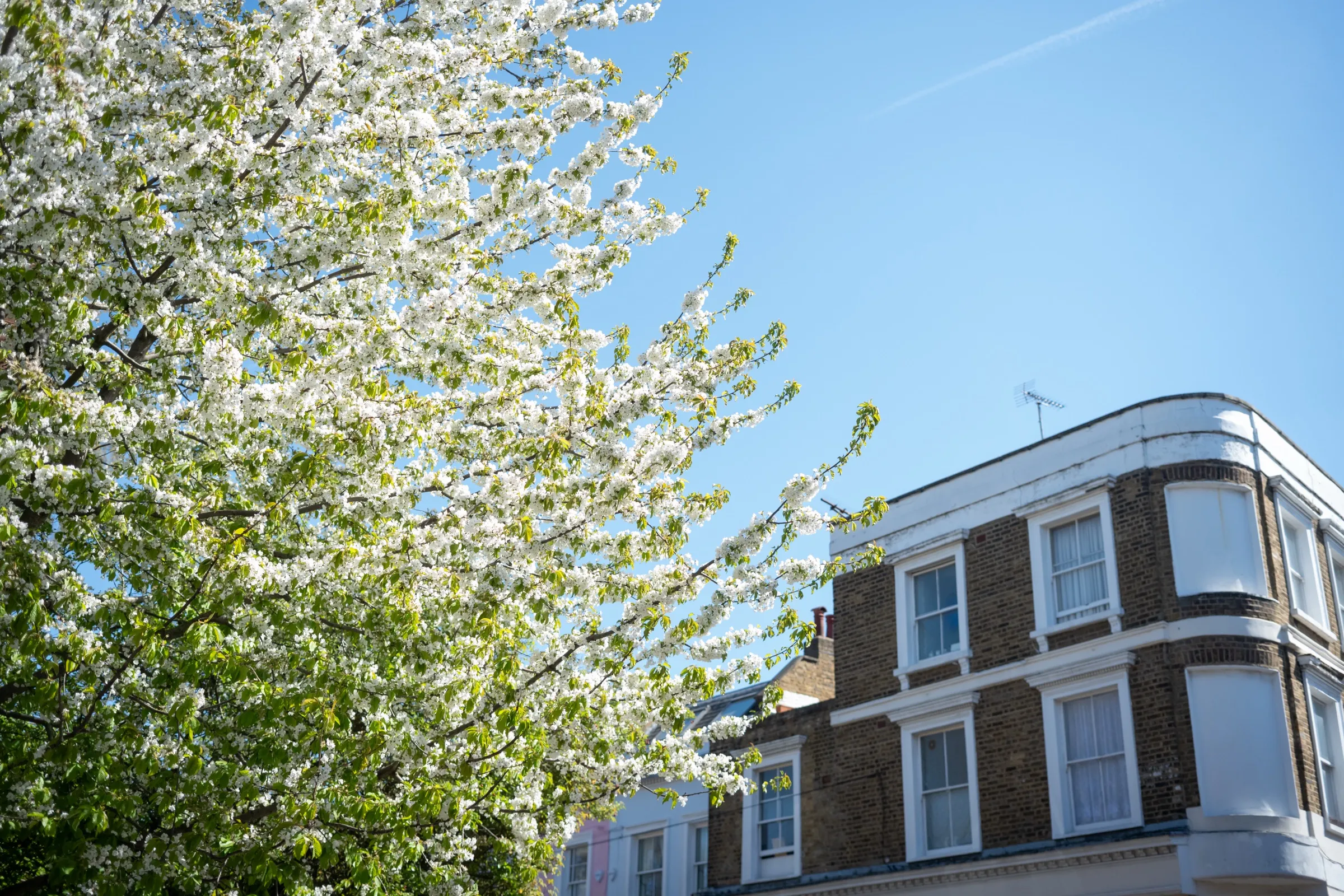 Travel photography for London