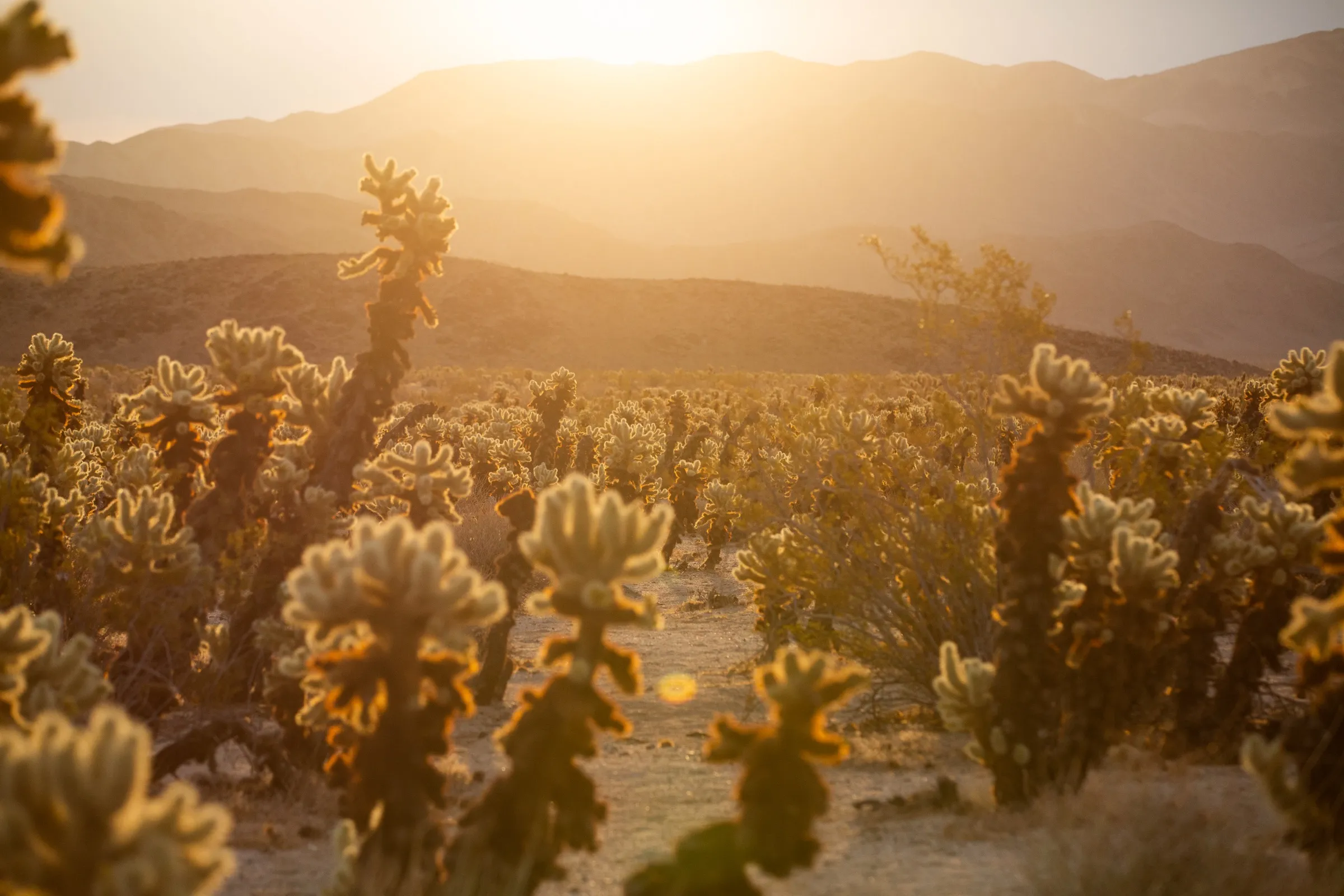Travel photography for California